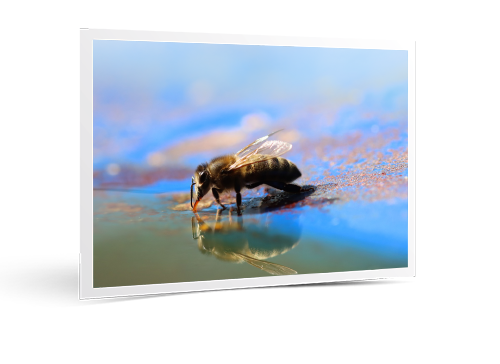 Istos Spring release V3.5